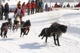 Lenk 2012 SM